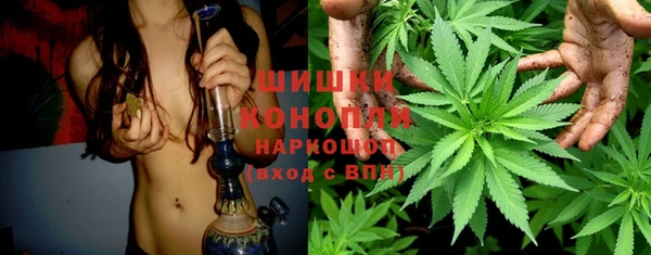 скорость Пестово