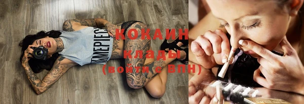 круглые Аркадак