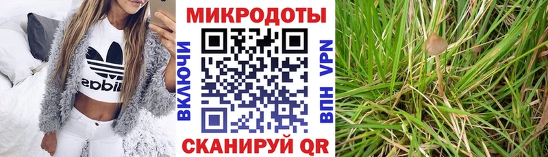 OMG маркетплейс  Балтийск  Псилоцибиновые грибы Psilocybe 