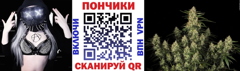 закладка  hydra ТОР  МАРИХУАНА индика  Балтийск 